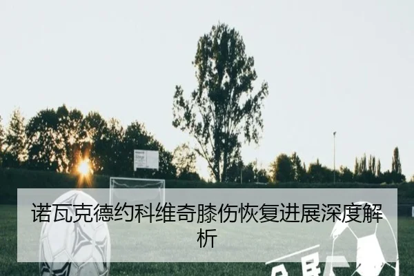 诺瓦克德约科维奇膝伤恢复进展深度解析